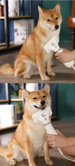 CEPILLO SECADOR PARA MASCOTAS